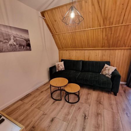 Apartament Klasyczny Z Widokiem Na Giewont Kościelisko Kültér fotó